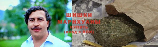 шишки Верхний Тагил